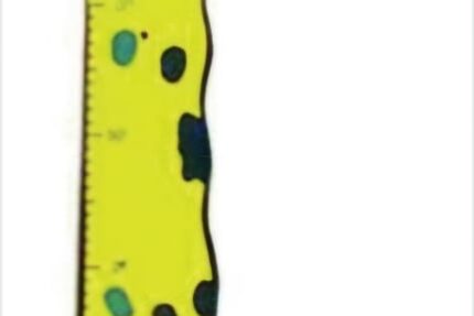 Zürafa Boy Cetveli